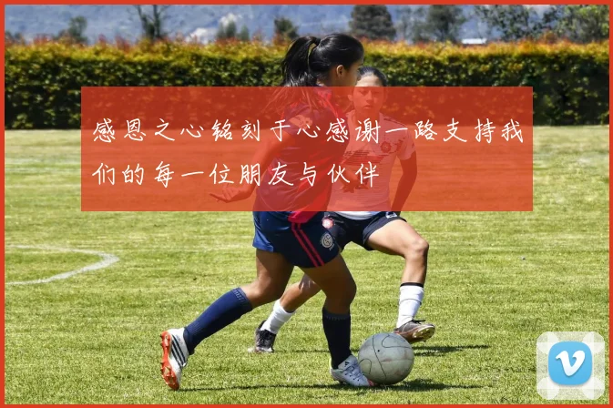 感恩之心铭刻于心感谢一路支持我们的每一位朋友与伙伴