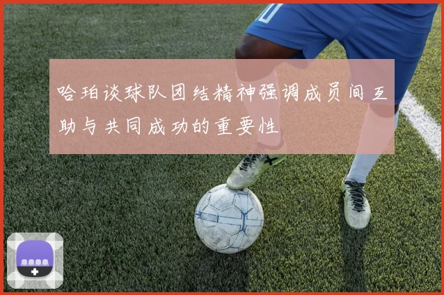 哈珀谈球队团结精神强调成员间互助与共同成功的重要性