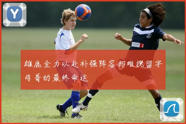 雄鹿全力以赴补强阵容却难挽留字母哥的最终命运