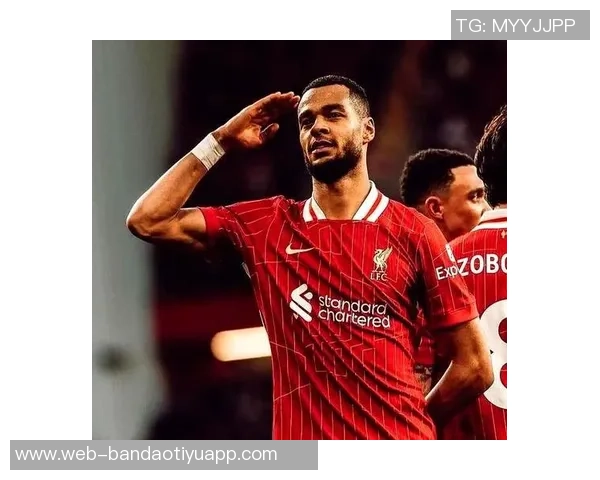 荷兰国家队公布大名单范戴克德容等明星球员齐聚备战赛事